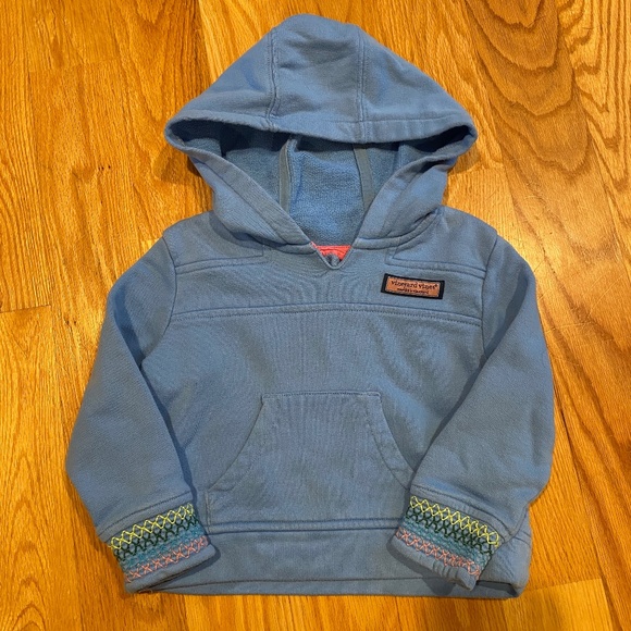 CHILDREN'S 2T BLUE VINEYARD VINES HOODED SWEATSHIRT ADORABLE DETAIL - Picture 1 of 8